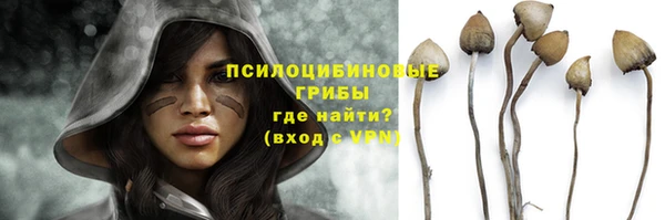 кокс Абаза