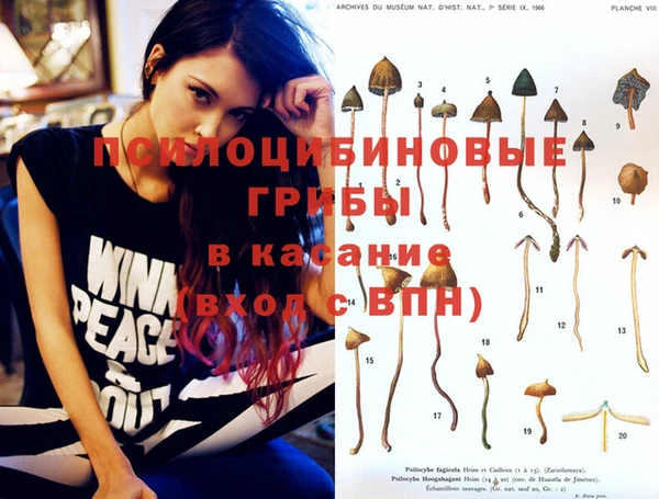 прущие крисы Абинск