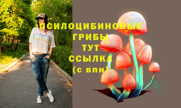 прущие крисы Абинск