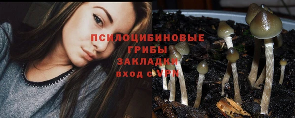 кокс Абаза
