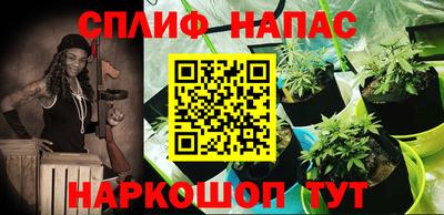 дживик Балахна