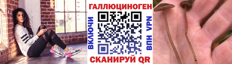 Псилоцибиновые грибы мицелий МЕГА зеркало Вичуга