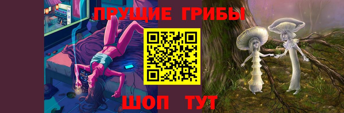 Вичуга  Псилоцибиновые грибы GOLDEN TEACHER  Вход с VPN 