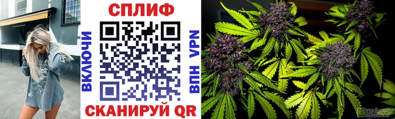 мега ссылка  купить наркоту  Вичуга  даркнет как зайти  Бошки Шишки тримм 